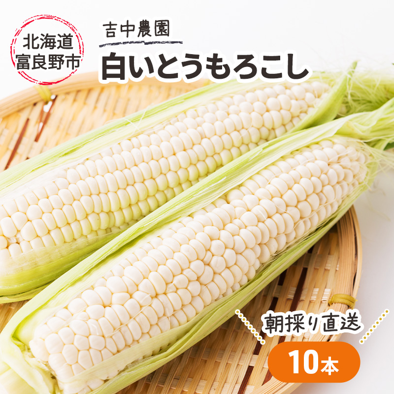 【2026年7月～発送】北海道 富良野産 朝穫り 白い とうもろこし 10本入り (吉中農園) とうもろこし とうきび コーン 野菜 新鮮 甘い ジューシー 贈り物 ギフト 道産 直送 ふらの