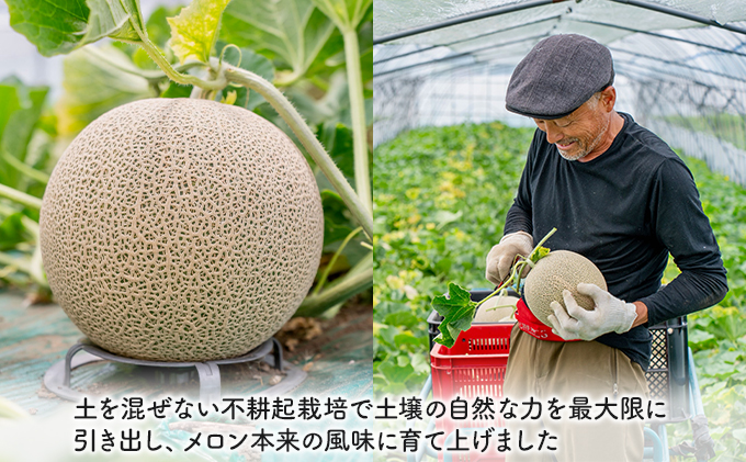 【2025年夏発送】北海道 富良野産 赤肉メロン 1玉 1.5kg～2kgサイズ ふらの メロン ギフト 果物 赤玉(榎本農園) メロン フルーツ 果物 新鮮 甘い 贈り物 ギフト 道産 ジューシー おやつ ふらの ブランド 夏 