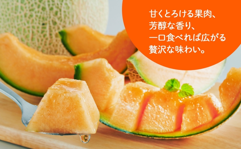 ＜2026年発送＞ふらの産 しあわせのメロン 赤肉 大玉 2玉 計4kg メロン 富良野メロン