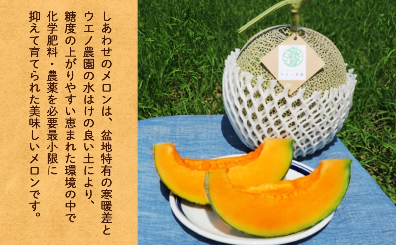 ïŒ2026幎çºéïŒãµãã®ç£ ããããã®ã¡ãã³ èµ€è 4ïœ5ç èš8kg ã¡ãã³ å¯è¯éã¡ãã³