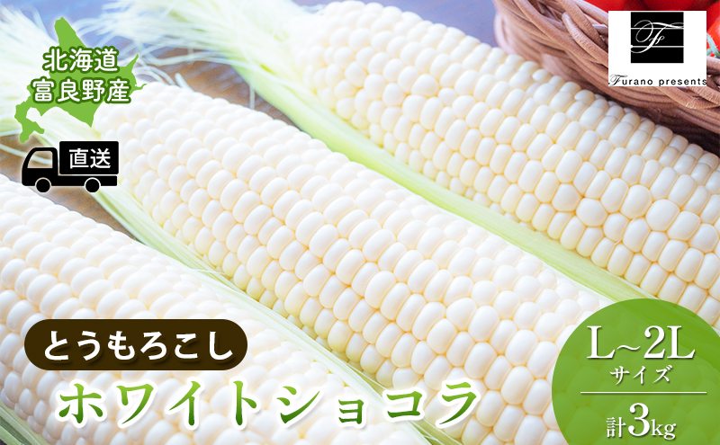 【2024年8月～発送】北海道 富良野市 とうもろこし ホワイトショコラ 白色 L～2L サイズ 計3kg ふらの 野菜 トウモロコシ とうきび 数量限定 (フラノプレゼンツ)