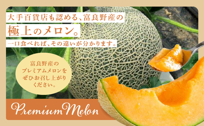 【2025年7月～発送】北海道 富良野市 赤肉 メロン 1.6kg 1玉 キングルビー ティアラ 品種指定不可 フルーツ ふらの (フラノプレゼンツ)