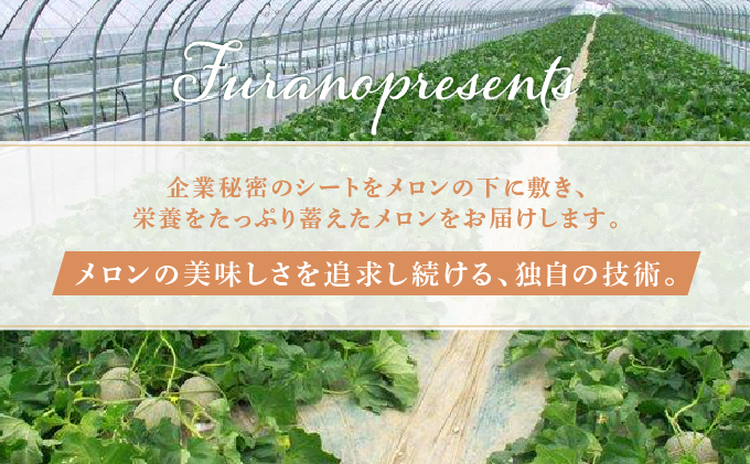 【2025年7月～発送】北海道 富良野市 赤肉 メロン 2.2kg 2玉 キングルビー ティアラ 大玉 品種指定不可 フルーツ ふらの (フラノプレゼンツ)