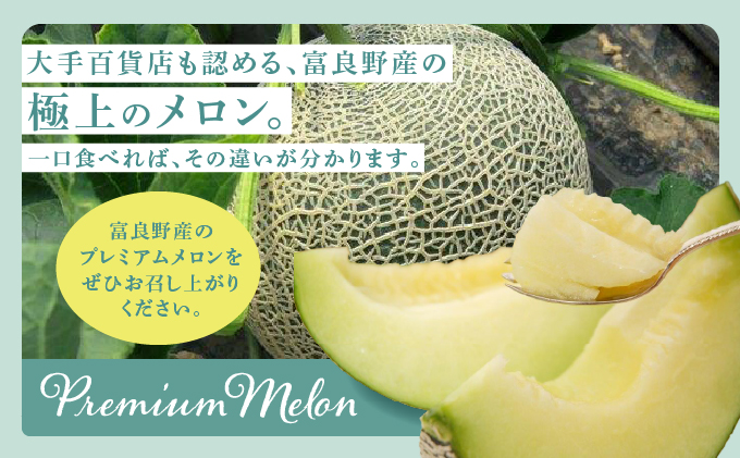 【2025年7月～発送】北海道 富良野市 青肉 メロン 1.6kg 1玉 フェリーチェ ふらの フルーツ 果物 ギフト 数量限定 (フラノプレゼンツ)