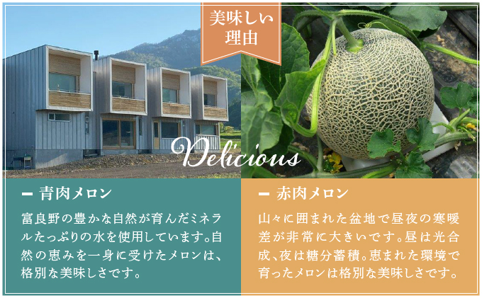 【2025年7月～発送】北海道 富良野市 メロン 食べ比べ 青肉＆赤肉 各1.6kg～1.8kg 2玉 ふらの フルーツ 果物 ギフト 数量限定 (フラノプレゼンツ)