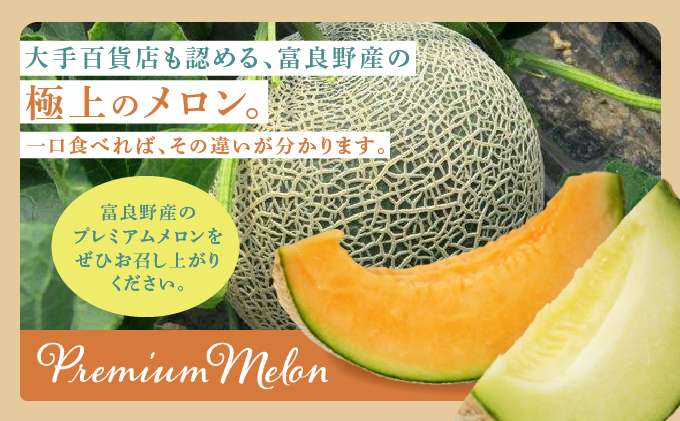 【2025年7月～発送】北海道 富良野市 メロン 食べ比べ 青肉＆赤肉 各1.6kg～1.8kg 2玉 ふらの フルーツ 果物 ギフト 数量限定 (フラノプレゼンツ)