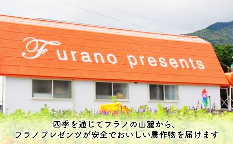 【2024年9月～発送】北海道 富良野市 じゃがいも メークイン 10kg ふらの 野菜 いも 数量限定 (フラノプレゼンツ)