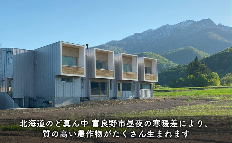 【2024年9月～発送】北海道 富良野市 じゃがいも 食べ比べ きたあかり メークイン 計10kg ふらの 野菜 いも 数量限定 (フラノプレゼンツ)