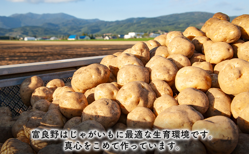 【2024年9月～発送】北海道 富良野市 じゃがいも きたあかり 10kg ふらの 野菜 いも 数量限定 (フラノプレゼンツ)