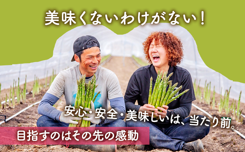 【2025年春発送・先着順・7日間限定】富良野 益田農園産 初物！春一番 極太 グリーンアスパラガス ≪Ｍ～3L混合≫ 約400g アスパラ ハウス栽培 北海道 富良野市 緑アスパラ 野菜 とれたて 朝採り 限定 数量限定 (益田農園)