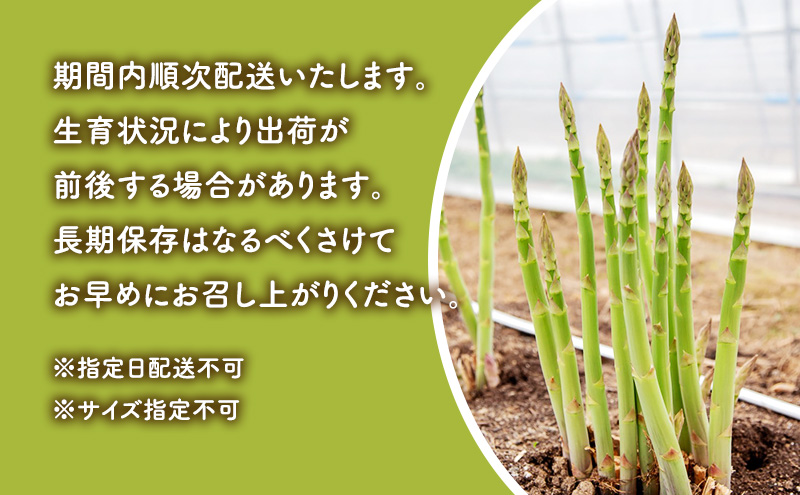 【数量限定・2025年4月15日頃～順次発送】富良野 益田農園産 極太 グリーンアスパラガス ≪M～3L混合≫ 約400g アスパラ 北海道 富良野市 緑アスパラ 野菜 とれたて 朝採り 限定 数量限定 (益田農園)