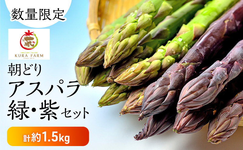 【2026年5月より発送】北海道 富良野市産 アスパラ 緑(LMサイズ混合)・紫(LMサイズ混合 )  計約1.5kg セット 食べ比べ 朝どり 露地 アスパラガス 詰め合わせ 野菜 新鮮 数量限定 先着順【藏ファーム】