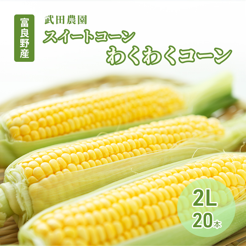 2026年夏発送 ［武田農園とれたて直送］スイートコーン わくわくコーン 2L 20本 みずみずしく抜群にあまい！北海道 富良野産 (とうもろこし 野菜 新鮮 とうきび 甘い 産地直送 先行予約 限定)