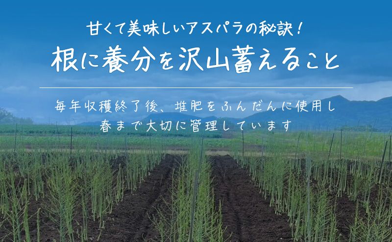 ［武田農園とれたて直送］2027年春発送 グリーンアスパラ 2L 2kg やわらかくて抜群にあまい！北海道 富良野産 (アスパラガス アスパラ 野菜 新鮮 産地直送 先行予約 限定)