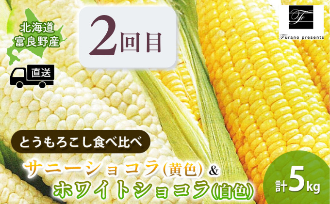 【年3回定期便】【2025年7～10月お届け】高品質 フラノプレゼンツ が贈る 赤肉 青肉 メロン ＆ 新鮮 野菜 の 品種 食べ比べ 計6種 定期便 (メロン とうもろこし かぼちゃ  北海道 富良野市 野菜 果物 フルーツ 甘い 新鮮)