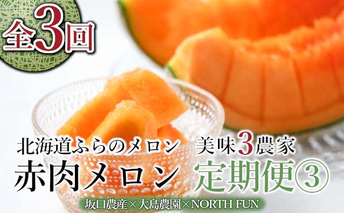 【年3回定期便】【2026年6～9月お届け】数量限定！ こだわりのふらのメロン 厳選3農家 コラボ  定期便(3)  食べ比べ 赤肉 2玉×3回 合計6玉 (北海道 富良野市 果物 フルーツ 甘い デザート 産地 直送 新鮮 先着順 坂口農産 大島農園 NORTH FUN)