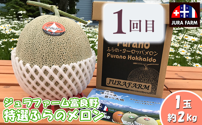 【年4回定期便】【2025年7～10月お届け】富良野直送！ 旬のメロン＆野菜 厳選４農家 スペシャルコラボ 計４種 大満足定期便 (メロン ミニトマト とうもろこし たまねぎ 北海道 富良野市 果物 フルーツ 甘い デザート 野菜 新鮮 ジュラファーム富良野 青果センター 鷲見農園 坂口農産)