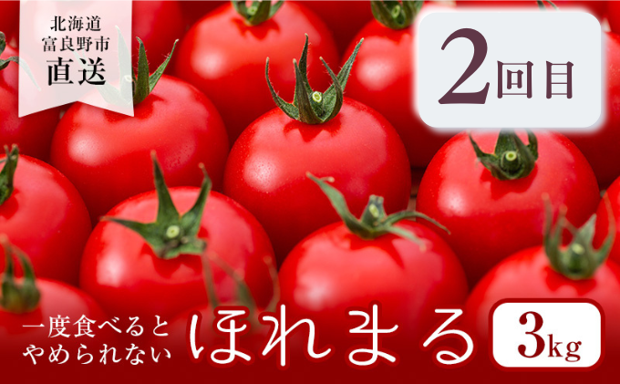 【年4回定期便】【2025年7～10月お届け】富良野直送！ 旬のメロン＆野菜 厳選４農家 スペシャルコラボ 計４種 大満足定期便 (メロン ミニトマト とうもろこし たまねぎ 北海道 富良野市 果物 フルーツ 甘い デザート 野菜 新鮮 ジュラファーム富良野 青果センター 鷲見農園 坂口農産)