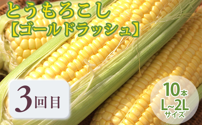 【年4回定期便】【2025年7～10月お届け】富良野直送！ 旬のメロン＆野菜 厳選４農家 スペシャルコラボ 計４種 大満足定期便 (メロン ミニトマト とうもろこし たまねぎ 北海道 富良野市 果物 フルーツ 甘い デザート 野菜 新鮮 ジュラファーム富良野 青果センター 鷲見農園 坂口農産)