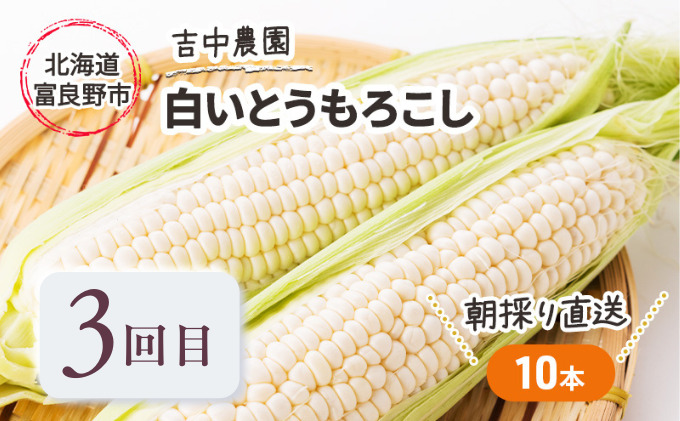 【年3回定期便】【2025年5～8月お届け】北海道 富良野 直送！ 旬の新鮮 夏野菜 厳選 3農家 スペシャルコラボ 定期便 (アスパラガス 赤肉メロン とうもろこし 北海道 富良野市 野菜 果物 フルーツ 甘い 新鮮 益田農園 フラノプレゼンツ 吉中農園)