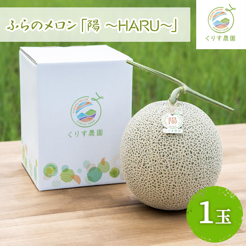 【2026年7月上旬より順次発送】ふらのメロン「陽 ～HARU～」大玉(2.3kg以上)×1玉 ( 赤肉 )( くりす農園 )