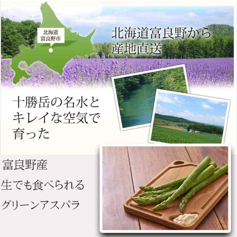 【2024年春発送】「生」で食べられる！北海道 富良野産 グリーンアスパラ 500g (極太 2L サイズ) 