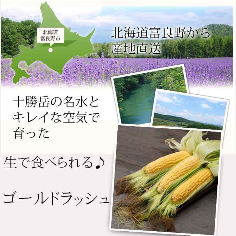 【2025年8月～発送】生で食べられる！トウモウロコシ 北海道 富良野産 ゴールドラッシュ 5本 とうもろこし とうきび 野菜 新鮮 ふらの 産地直送 お試し サイズ