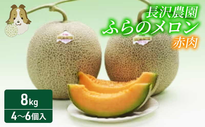 【先行受付】ふらのメロン赤肉　8kg(4～6個入り) 北海道 富良野 メロン 夏 果物 フルーツ
