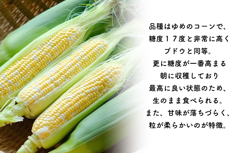 2025年発送 【全2回定期便】 生のまま食べられる！とうもろこし まっくコーン・梨同等の甘さの玉ねぎ まっくオニオン 北海道富良野市 富良野産 ふらの 玉葱 コーン とうもろこし 野菜 旬