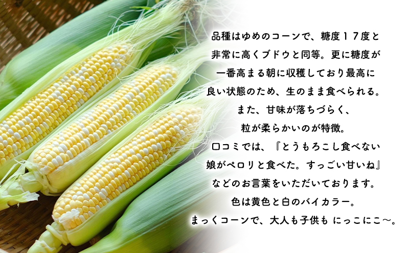 2025年発送 富良野産  生のまま食べれる！とうもろこし まっくコーン　11本　北海道 富良野市 とうきび とうもろこし 旬 季節 ふらの 甘い コーン