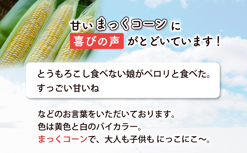 2025年発送 富良野産 生のまま食べれる！とうもろこし まっくコーン　22本　北海道 富良野市 とうきび とうもろこし 旬 季節 ふらの 甘い コーン