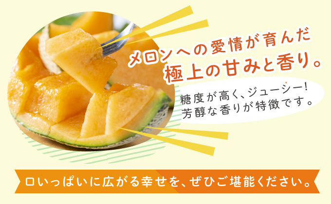 【2025年6月下旬～発送】ふらの 赤肉 メロン 4～6玉入 計約8kg 北海道 富良野市 (相馬農園) メロン フルーツ 果物 新鮮 甘い 贈り物 ギフト 道産 ジューシー おやつ ふらの ブランド 夏 