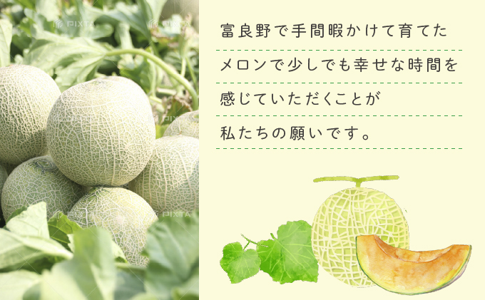 【2025年6月下旬～発送】ふらの 赤肉 メロン 4～6玉入 計約8kg 北海道 富良野市 (相馬農園) メロン フルーツ 果物 新鮮 甘い 贈り物 ギフト 道産 ジューシー おやつ ふらの ブランド 夏 