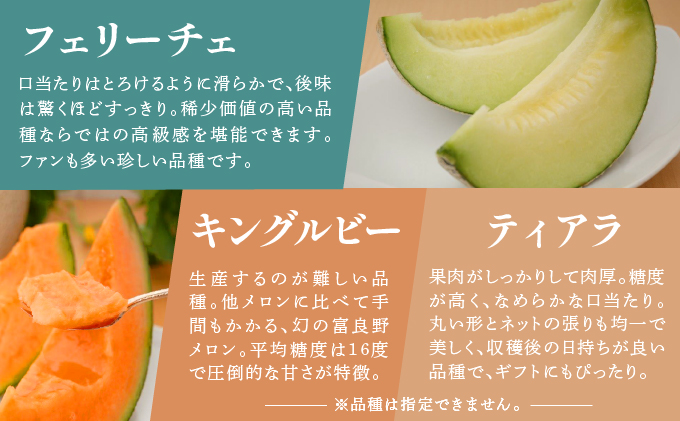 【2024年7月～発送】北海道 富良野市 メロン 食べ比べ 青肉＆赤肉 各1.8kg 2玉 ふらの フルーツ 果物 ギフト 数量限定 (フラノプレゼンツ)