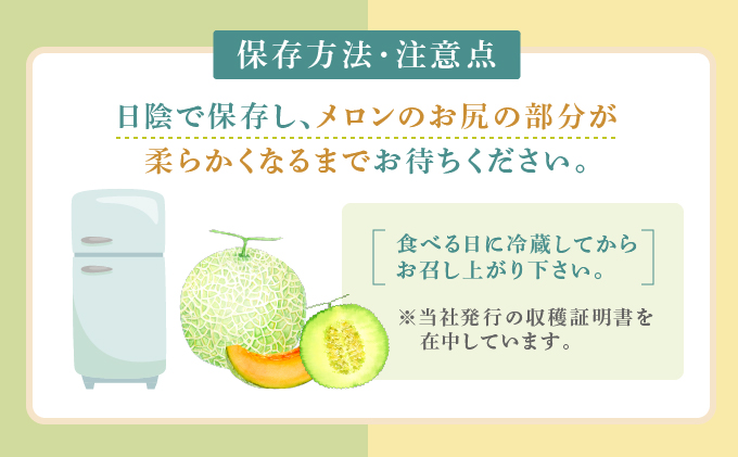 【2024年7月～発送】北海道 富良野市 メロン 食べ比べ 青肉＆赤肉 各1.8kg 2玉 ふらの フルーツ 果物 ギフト 数量限定 (フラノプレゼンツ)