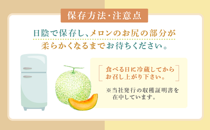 【2025年7月～発送】北海道 富良野市 赤肉 メロン 1.6kg 2玉 キングルビー ティアラ 品種指定不可 フルーツ ふらの (フラノプレゼンツ)