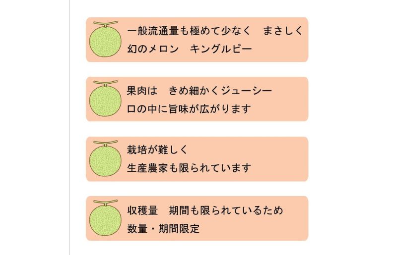 2025年夏発送 【数量・期間限定】 ふらのメロン キングルビー 秀大2玉［1玉2kg以上］計4kg以上 富良野メロン 赤肉 めろん 北海道 甘い 大きい