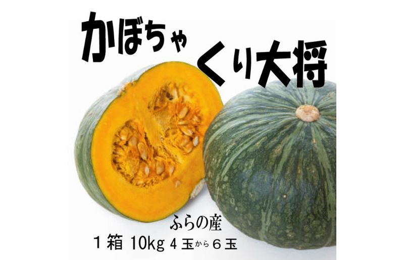 2025年秋発送【数量・期間限定】ふらの産 かぼちゃ10kg［くり大将］ 富良野 北海道 カボチャ 南瓜 甘い 野菜