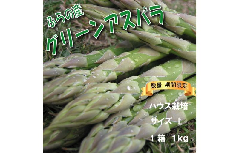 2025年春発送 ふらの産 グリーンアスパラ1kg［Lサイズ］ハウス栽培 富良野 北海道 野菜 アスパラ 朝採り アスパラガス