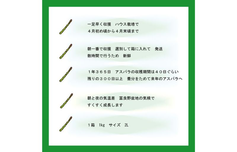 2025年春発送 ふらの産 グリーンアスパラ1kg［2Lサイズ］ハウス栽培 富良野 北海道 野菜 アスパラ 朝採り アスパラガス