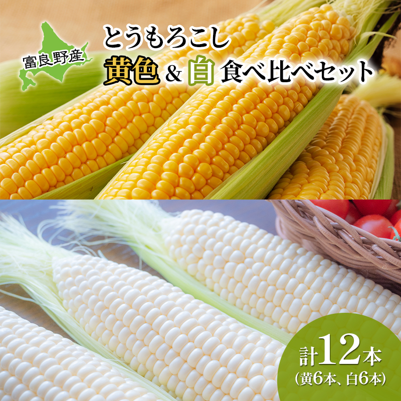 【2026年夏発送】 とうもろこし 食べ比べ 富良野産とうもろこし 黄6本・白6本セット 北海道 富良野 ふらの コーン とうきび トウモロコシ ホワイトコーン 野菜 甘い