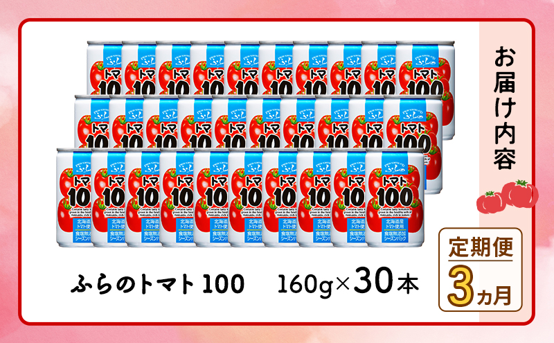 【 3ヵ月 定期便 】ふらの トマト100 160g×30本入　野菜  ジュース  (ジュース 野菜ジュース 飲み物 缶 北海道 送料無料 道産 富良野市 ふらの)