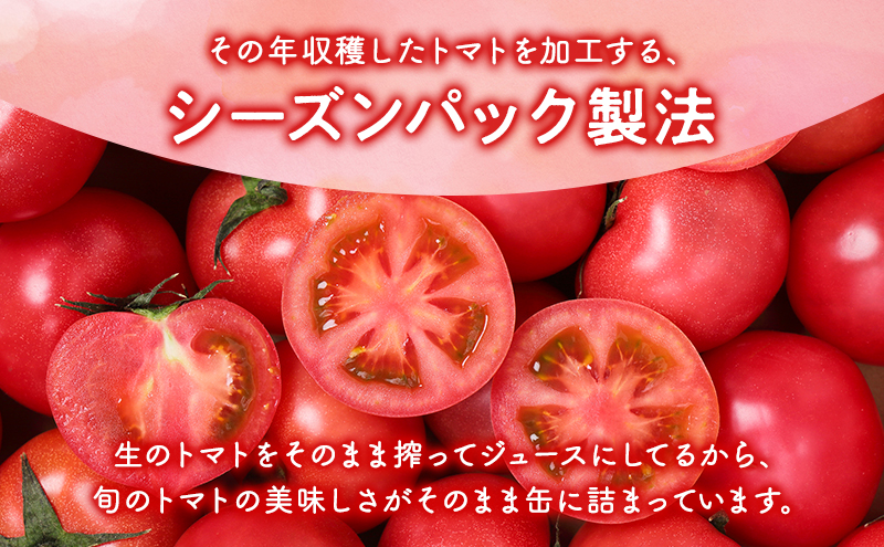 【 6ヵ月 定期便 】ふらの トマト100 160g×30本入　野菜  ジュース  (ジュース 野菜ジュース 飲み物 缶 北海道 送料無料 道産 富良野市 ふらの)