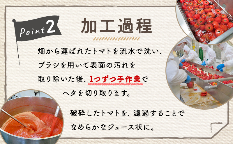 【 9ヵ月 定期便 】ふらの トマト100 160g×30本入　野菜  ジュース  (ジュース 野菜ジュース 飲み物 缶 北海道 送料無料 道産 富良野市 ふらの)