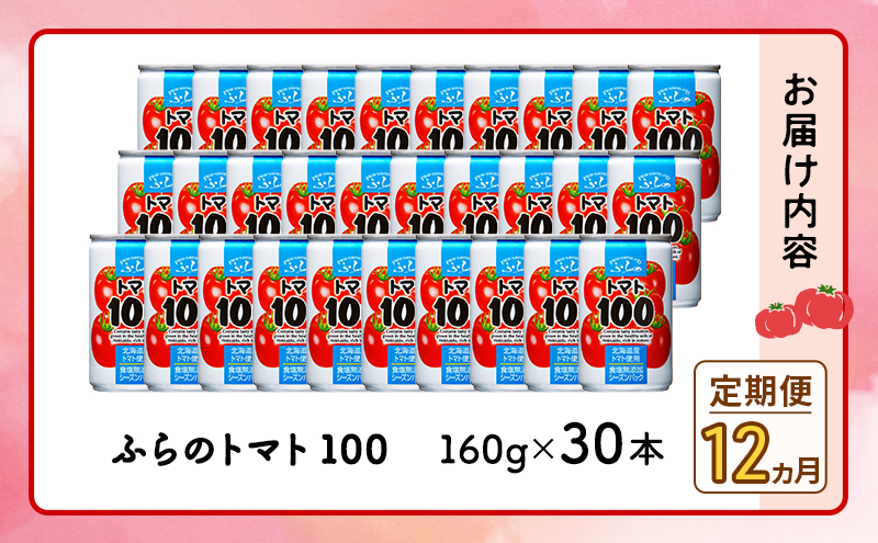 【 12ヵ月 定期便 】ふらの トマト100 160g×30本入　野菜  ジュース  (ジュース 野菜ジュース 飲み物 缶 北海道 送料無料 道産 富良野市 ふらの)