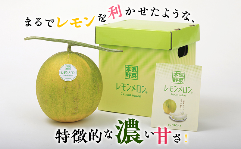 【希少！数量限定先行予約 2025年発送】 レモンメロン 3Lサイズ 1玉 北海道 富良野産 レモン メロン 新品種 富良野市 ふらの お中元 ギフト 水戸青果 送料無料