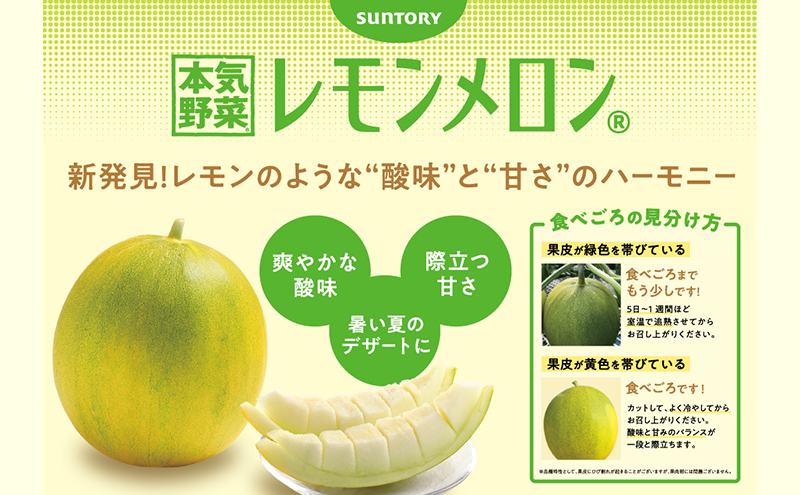 【希少！数量限定先行予約 2025年発送】 レモンメロン Lサイズ 1玉 北海道 富良野産 レモン メロン 新品種 富良野市 ふらの お中元 ギフト 水戸青果 送料無料
