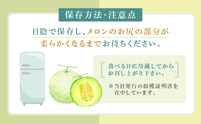 【2025年7月～発送】北海道 富良野市 青肉 メロン 1.6kg×3玉 フェリーチェ ふらの フルーツ 果物 ギフト 数量限定 (フラノプレゼンツ)