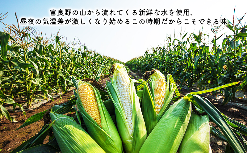 【2025年8月～発送】北海道 富良野市 とうもろこし 食べ比べ サニーショコラ 黄色 ＆ ホワイトショコラ 白色 L～2L サイズ  各5kg 計10kg ふらの 野菜 トウモロコシ 数量限定 (フラノプレゼンツ)