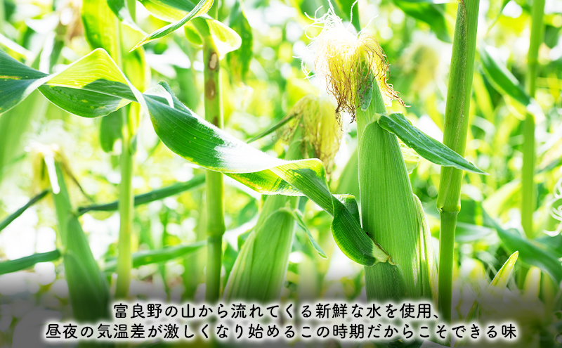 ã2025幎8æïœçºéãåæµ·é å¯è¯éåž ãšããããã ãµããŒã·ã§ã³ã© é»è² Lïœ2L ãµã€ãº èš10kg ãµãã® éè ããŠã¢ãã³ã· ãšããã³ æ°ééå® (ãã©ããã¬ãŒã³ã)